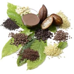 Schokinag 64% Dark Chocolate couverture 22 lbs COMING IN MAY!
